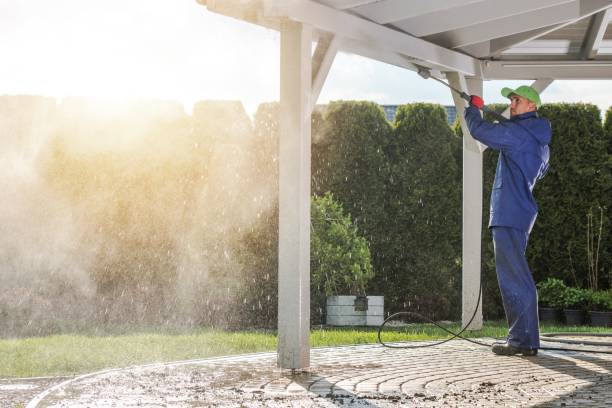 Animal Enclosure Cleaning in Deltona, FL